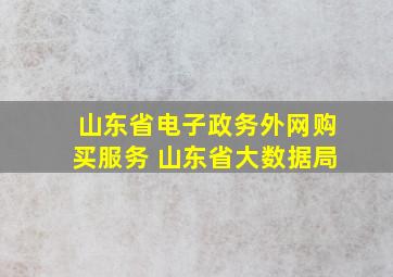 山东省电子政务外网购买服务 山东省大数据局